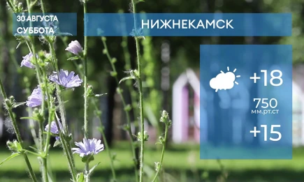Прогноз погоды в Нижнекамске на 30-е августа 2025 года - НТР 24