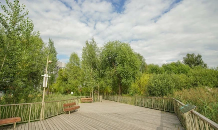 Шесть проектов из Татарстана получили 474 млн рублей на благоустройство от РФ - НТР 24