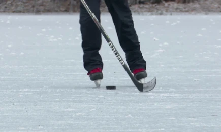 Нижнекамский «Реактор» представил расписание игр на сезон в виде кото-календаря - НТР 24
