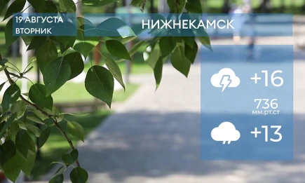 Прогноз погоды в Нижнекамске на 19-е августа 2025 года - НТР 24