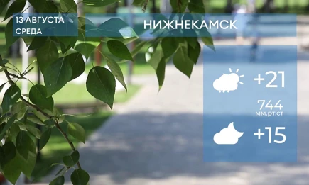 Прогноз погоды в Нижнекамске на 13-е августа 2025 года - НТР 24