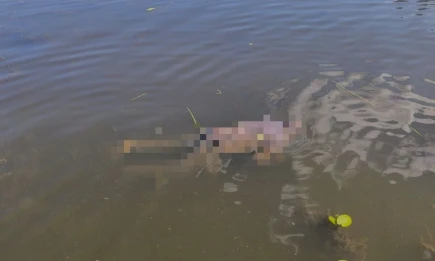 В Татарстане мужчина выпал из лодки во время прогулки по Волге и утонул - НТР 24