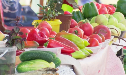 Россиянам рассказали, какие продукты подешевели в июле - НТР 24