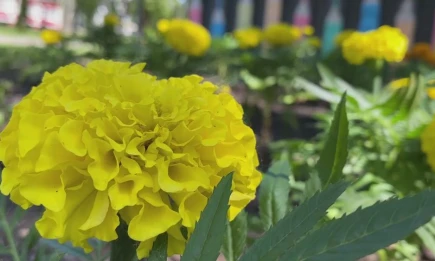 Жару до +31 градуса в Татарстане пообещали синоптики - НТР 24