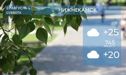 Прогноз погоды в Нижнекамске на 23-е августа 2025 года - НТР 24
