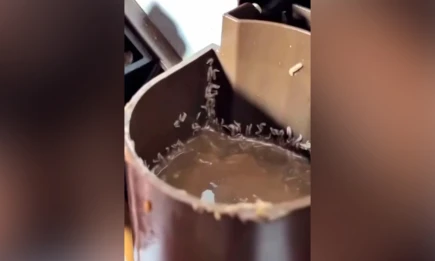 Осторожно: черви! Блогер показал жуткое содержимое кофейных автоматов - НТР 24