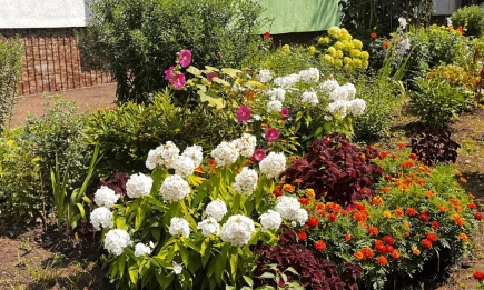 Жара до +31 градуса установится 1 сентября в Татарстане - НТР 24