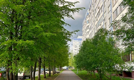 Погода в День Татарстана будет хмурой и не по-праздничному суровой - НТР 24