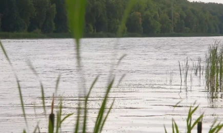 В Татарстане за сутки утонули пять человек - НТР 24