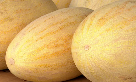 Врач КФУ предупредила, кому нельзя есть дыню даже в сезон - НТР 24