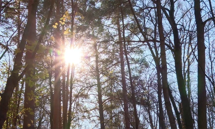 Ученые предупредили о наибольшей опасности для Земли из-за активности Солнца - НТР 24