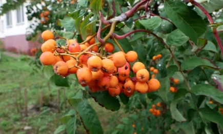 Солнечно и сухо: метеоролог спрогнозировал 10 дней тепла в сентябре в Татарстане - НТР 24