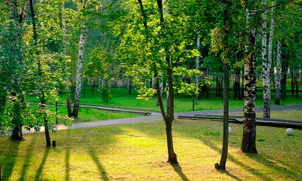 Профессор КФУ объяснил природу магнитных бурь и сложности их прогнозирования - НТР 24