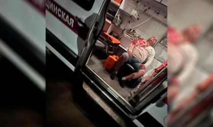 Певица Гульназ Асаева раскрыла подробности истории с медведем на пикнике - НТР 24