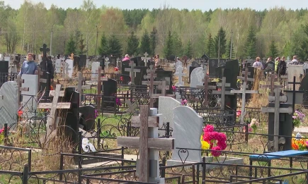 В России заблокировали сайты моргов, оказавшихся фишинговыми ресурсами - НТР 24