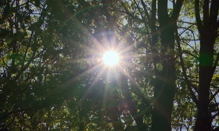 Учёные зафиксировали сильнейшую с июня солнечную вспышку, вызвавшую магнитную бурю - НТР 24