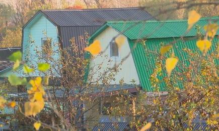 Новые запреты для дачников: что нельзя делать на участке с 1 сентября - НТР 24