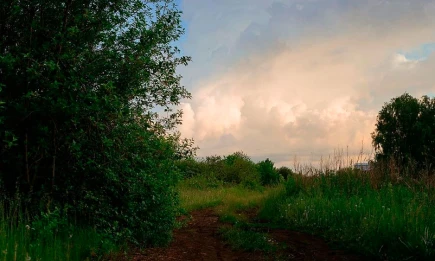 Климатолог КФУ объяснил погодные аномалии августа в Татарстане - НТР 24