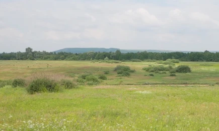 Для Нижнекамска, Альметьевска и Елабуги объявлена угроза атаки БПЛА - НТР 24