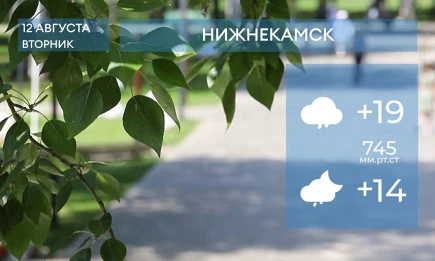 Прогноз погоды в Нижнекамске на 12-е августа 2025 года - НТР 24