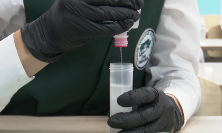 Образование признано стратегическим приоритетом развития Татарстана - НТР 24