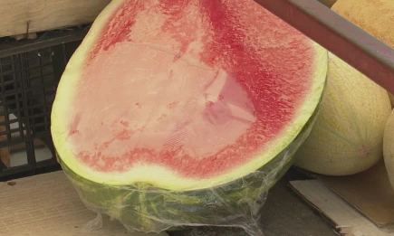 Врач объяснила, кому нельзя есть арбуз - НТР 24