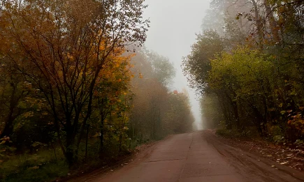 Осень близко: похолодание и грозы с ливнями неожиданно придут в Татарстан - НТР 24