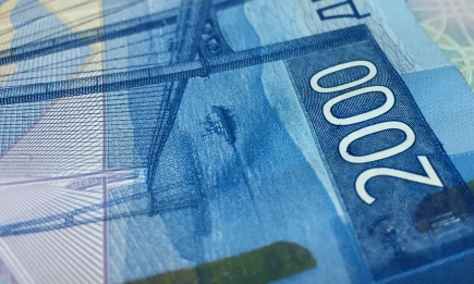 В Госдуме предлагают разрешить получать кредитную историю будущего супруга - НТР 24