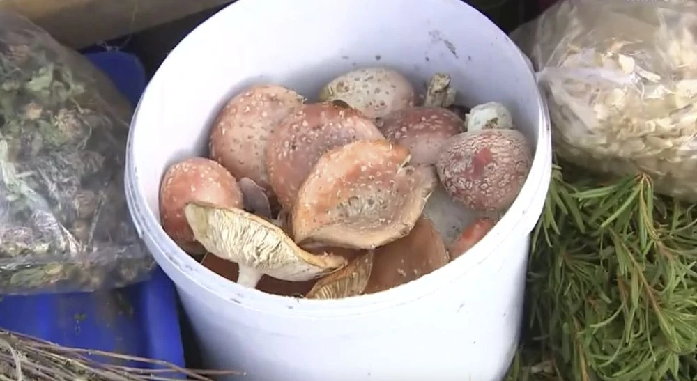 мухоморы на рынке