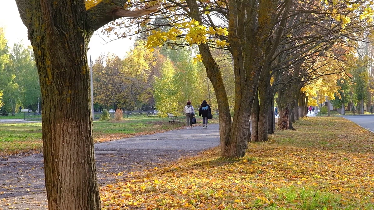 осеняя улица нижнекамска по которой прогуливаются люди