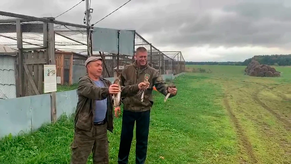 Выпускают птиц на волю в Татарстане