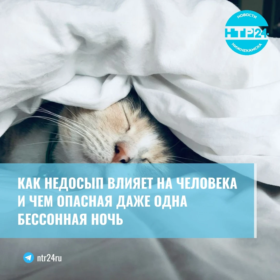 Как недосып влияет на человека и чем опасная даже одна бессонная ночь