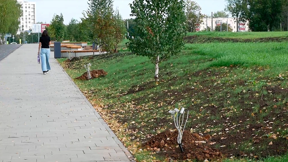 Сквер в честь 75-летия компании «Татнефть» в Нижнекамске