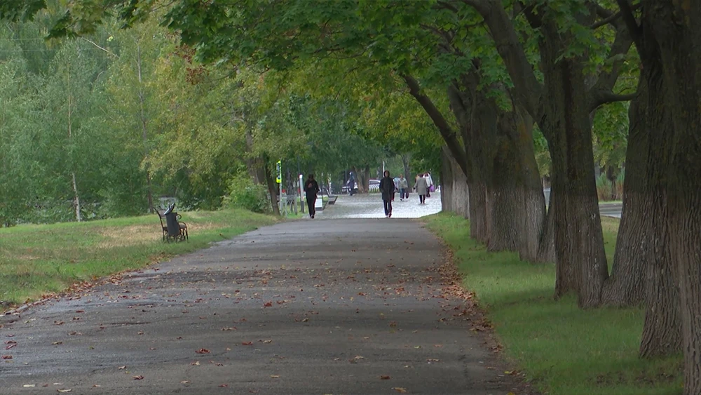 Аллея в Нижнекамске