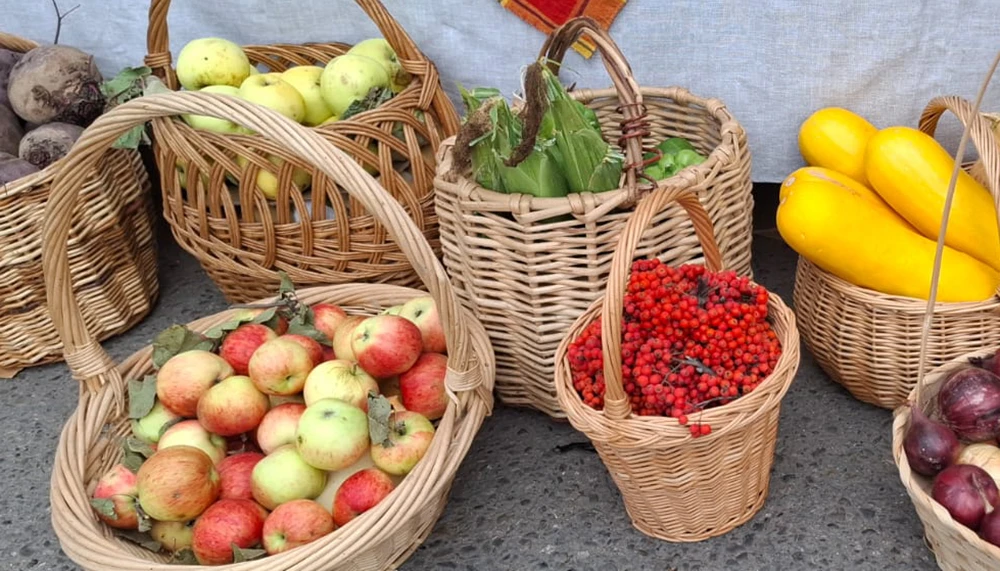 дары осени яблоки кукуруза кабачки рябина