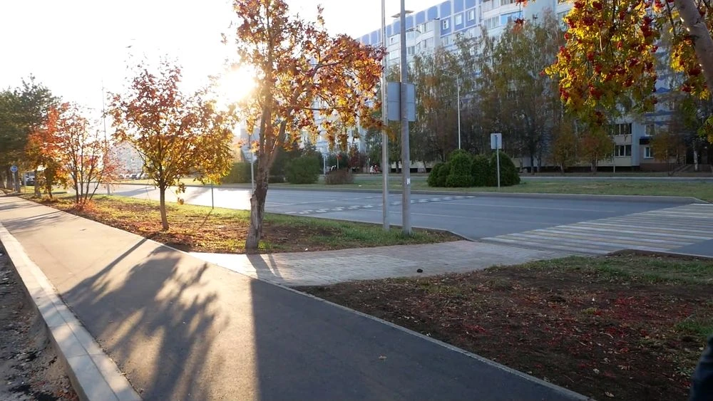 осень в нижнекамске, пожелтевшая листва