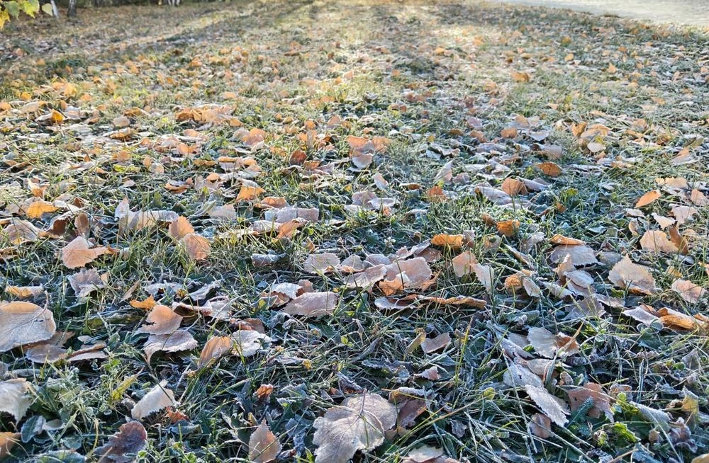 заморозки на почве