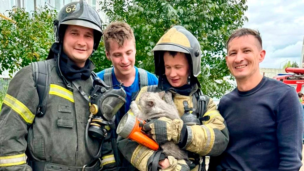 Пожарные после спасения кота в Нижнекамске
