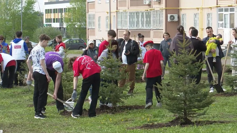 жители Нижнекамска высаживают саженцы деревьев
