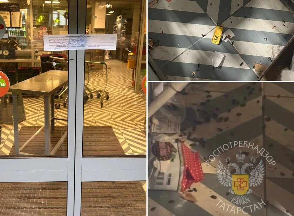 пятерочка на сары садыковой, 22 в казани, где нашли крыс