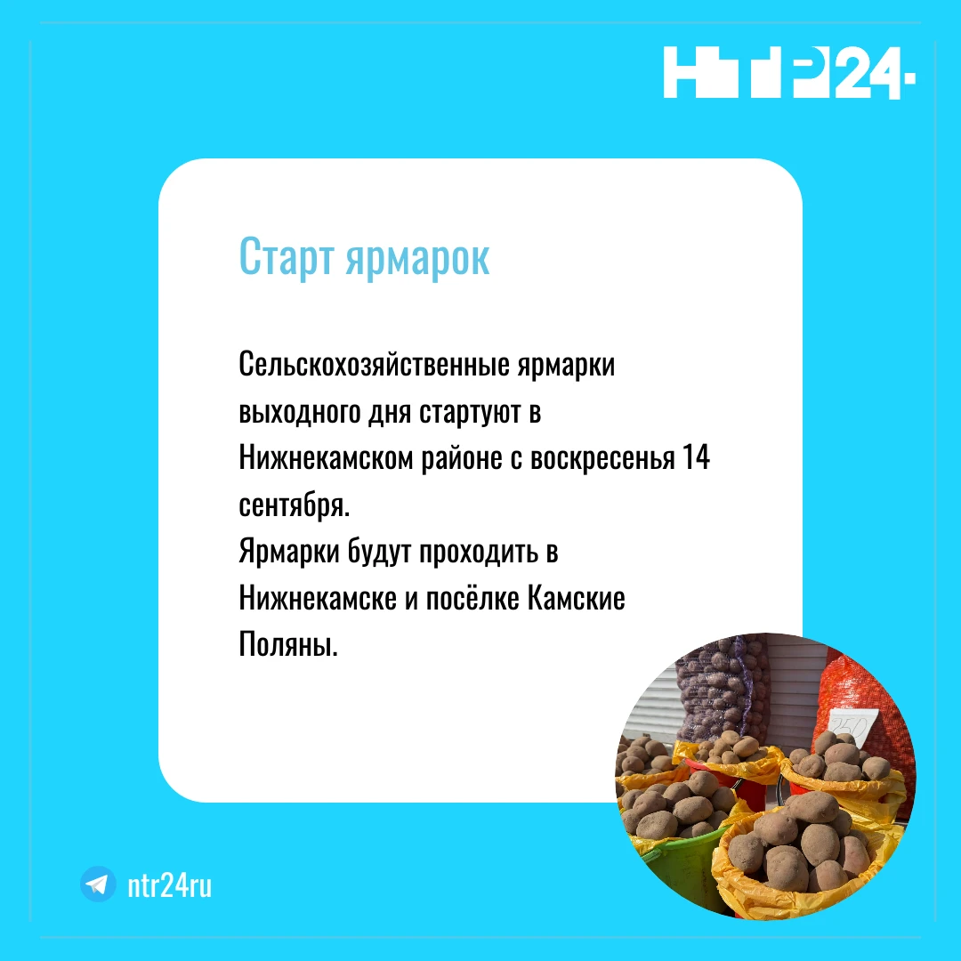 Cельскохозяйственные ярмарки выходного дня стартуют в Нижнекамском районе с воскресенья, четырнадцатого сентября.  Ярмарки будут проходить в Нижнекамске и посёлке Камские Поляны