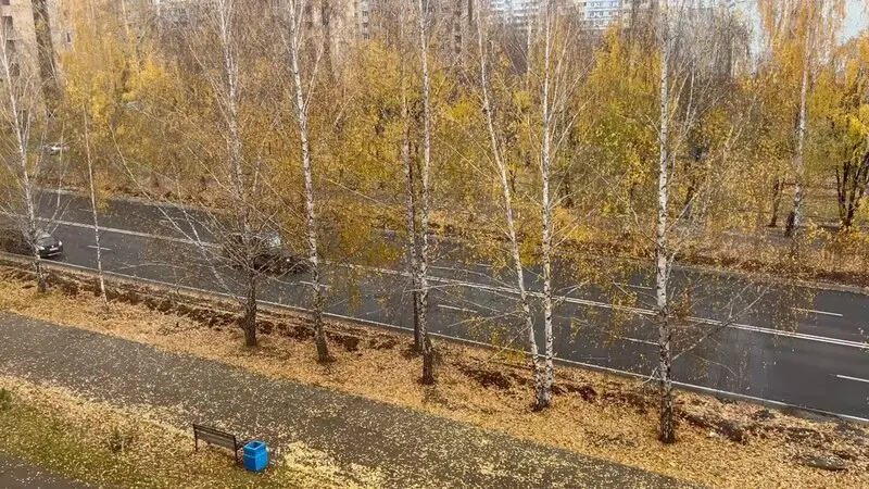 первый снег в Нижнекамске в 2024 году