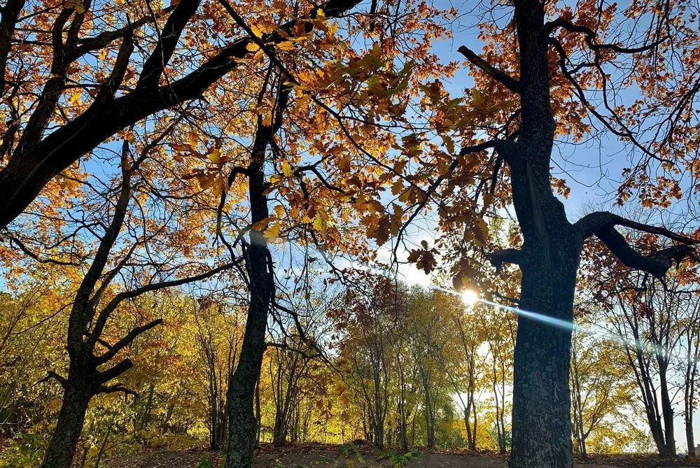осенняя погода небо