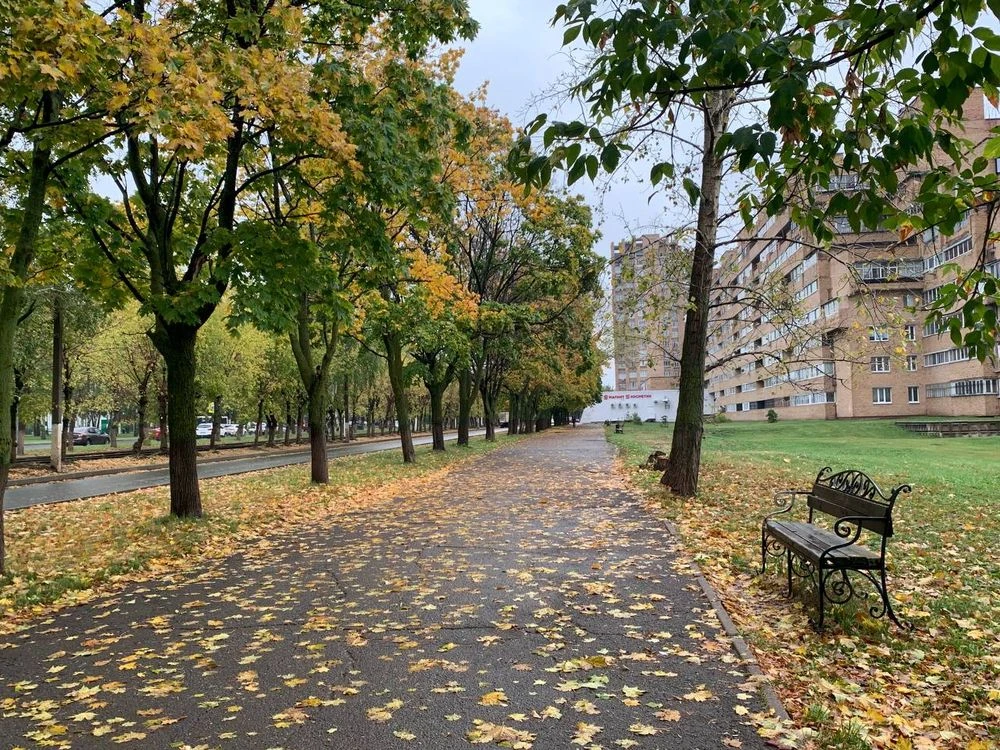 тротуар после дождя осенью