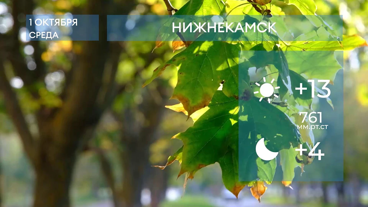 Прогноз погоды в Нижнекамске на 1-е октября 2025 года