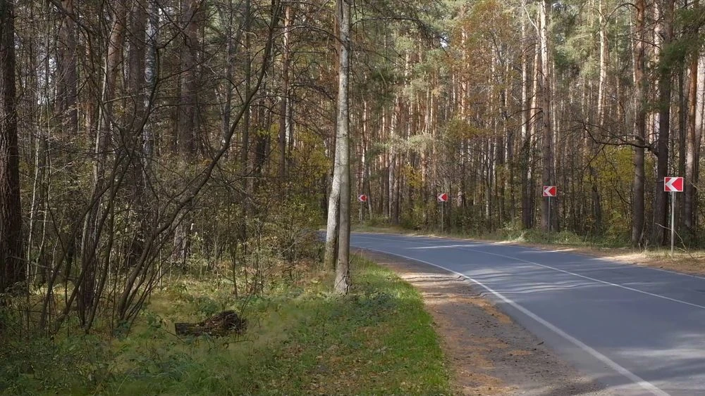 лес в районе Нижнекамска