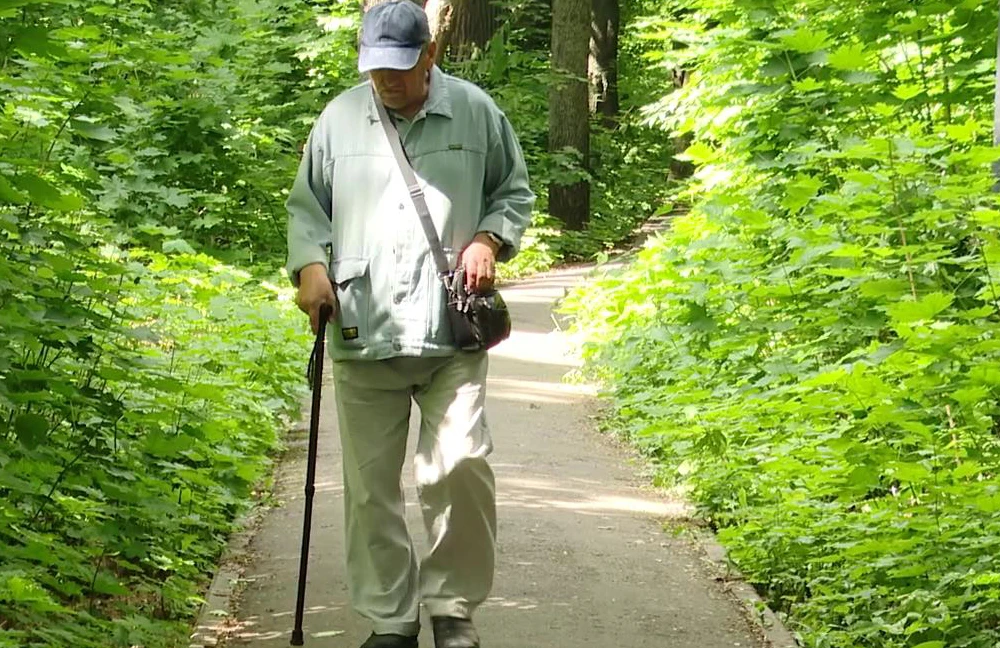 пенсионер гуляет в лесу около Нижнекамска