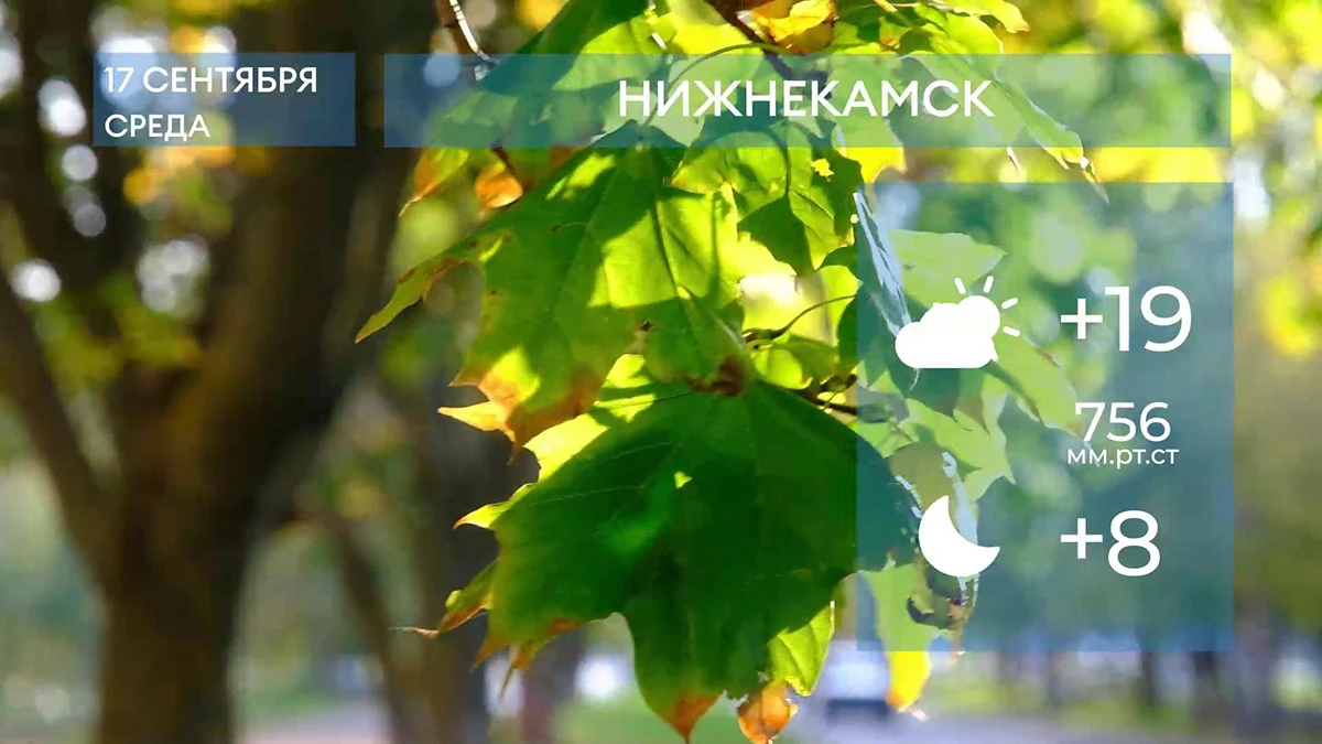 Прогноз погоды в Нижнекамске на 17-е сентября 2025 года