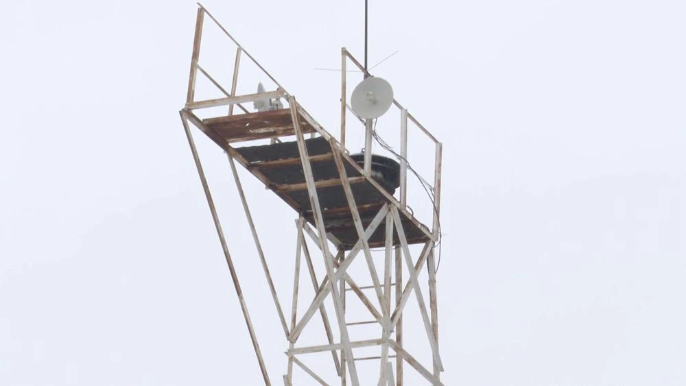 сирена оповещения