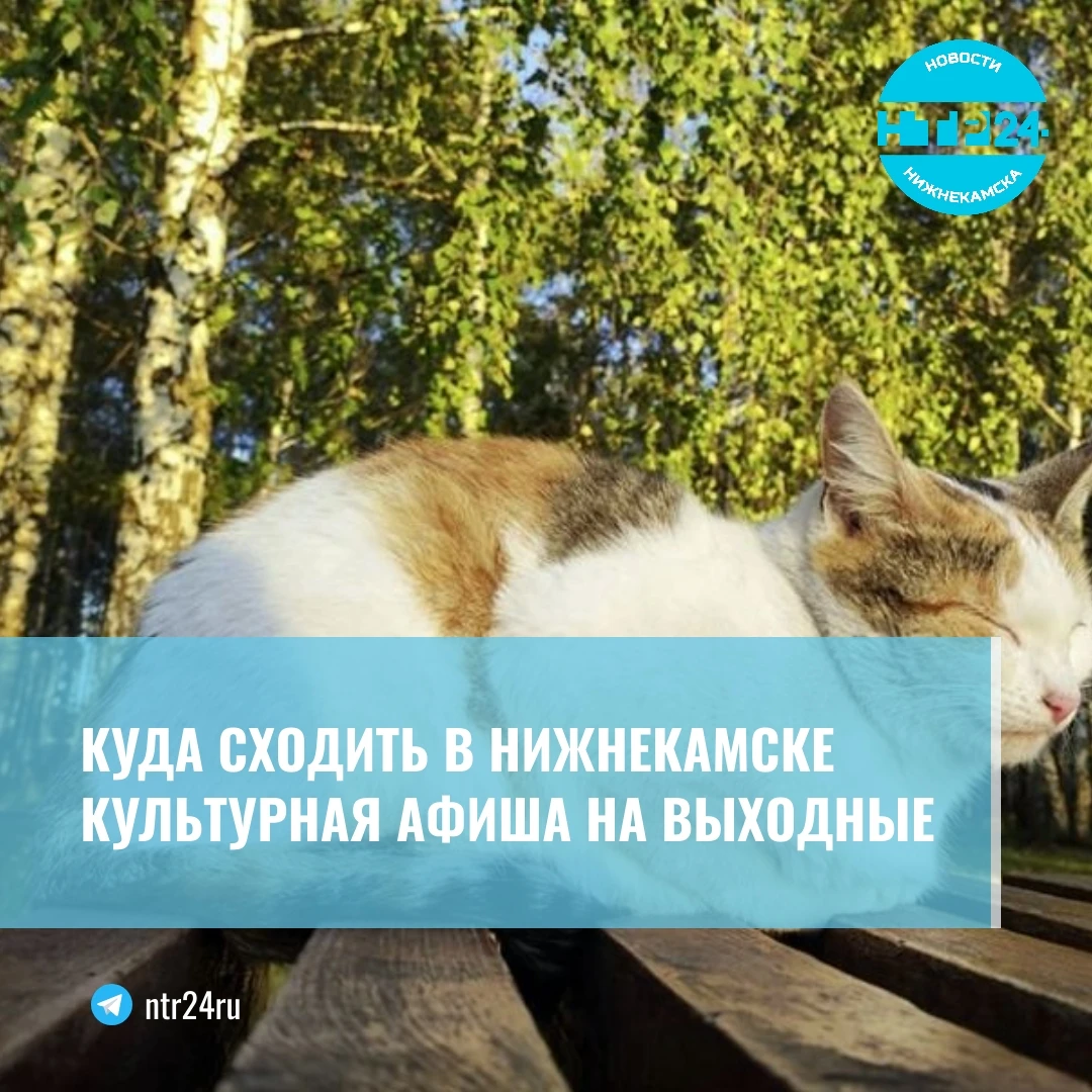 Куда сходить в Нижнекамске: культурная афиша на выходные